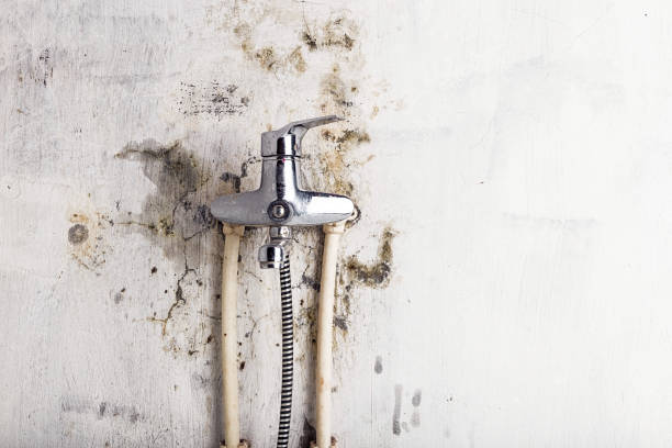 Best Mold Testing  in North Hudson, WI