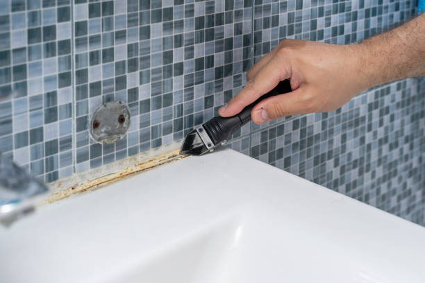 North Hudson, WI Mold Removal Company