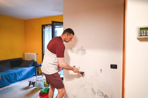 Best Professional Mold Removal  in North Hudson, WI
