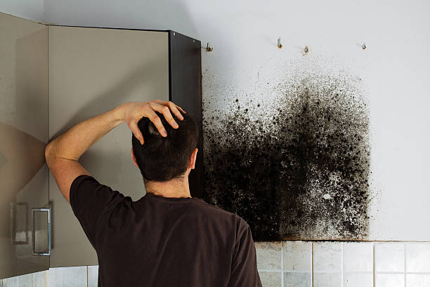 Water Damage Restoration in North Hudson, WI